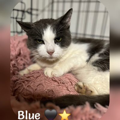 16.10.25 Décès Blue