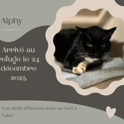 17.02.26 News Alphy