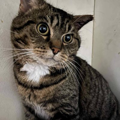 19.01.26 Arrivée Pongo