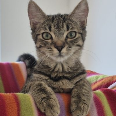 19.07.26 Arrivée Marie