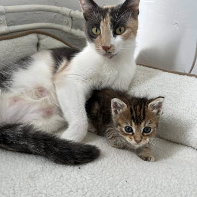 19.09.25 Zia a rejoint Lili