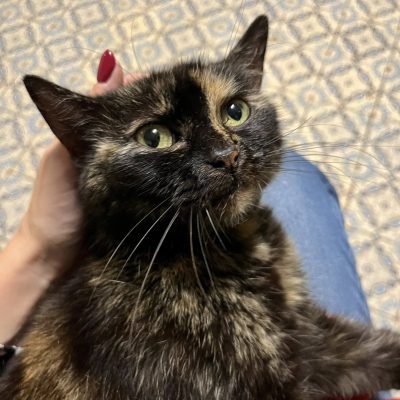 20.09.25 Arrivée de Freya