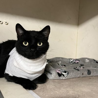 20.09.25 News Mowgli