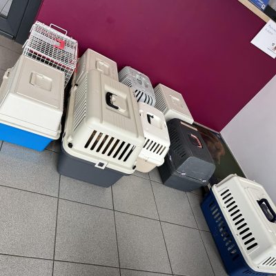 20.10.25 Visite veto aujourd'hui