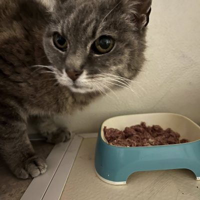 22.09.25 Arrivée mamy