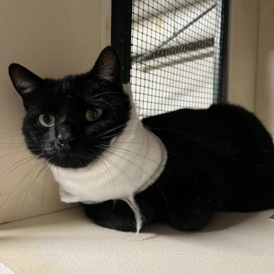 22.09.25 News Mowgli