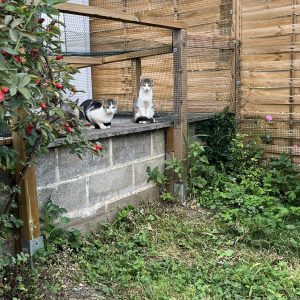 23.08.25 Extérieur 1