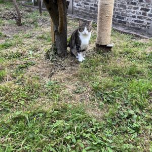 23.08.25 Extérieur 2