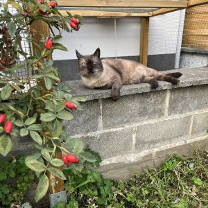 23.08.25 Extérieur 3