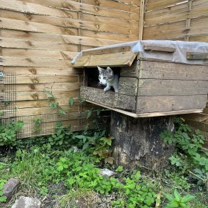 23.08.25 Extérieur 4