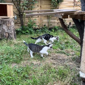 23.08.25 Extérieur 5