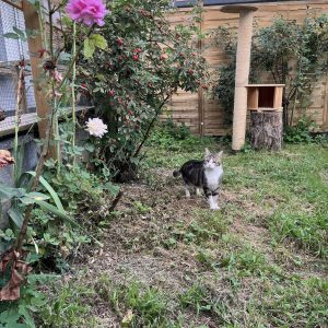 23.08.25 Extérieur 6