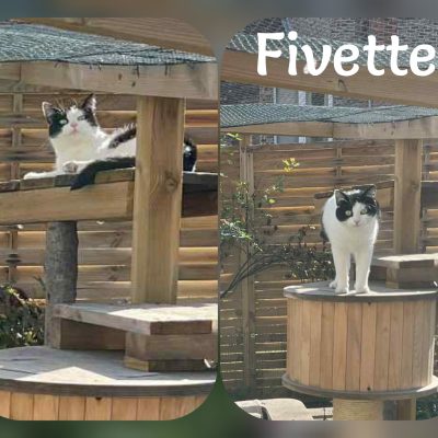 23.10.25 Arrivée Fivette