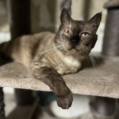 24.07.25 News Georges