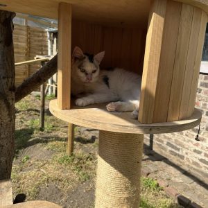 24.08.25 Extérieur 1