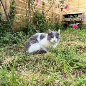 24.08.25 Extérieur 2