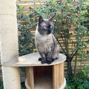 24.08.25 Extérieur 3