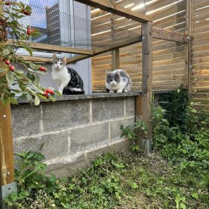 24.08.25 Extérieur 4