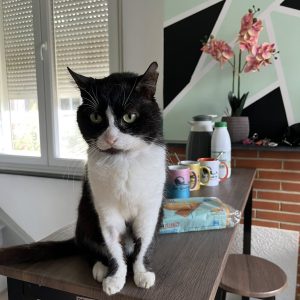 24.08.25 Premier petit dej