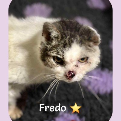 25.09.25 Décès Fredo