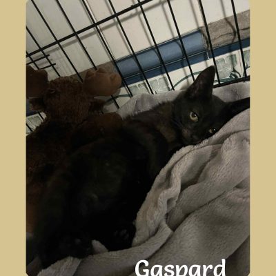 25.09.25 News Gaspard
