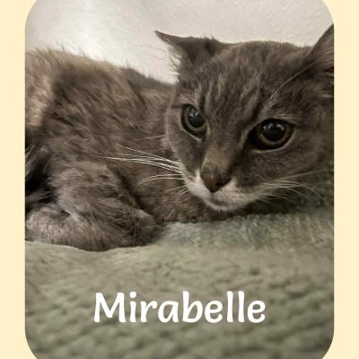 25.09.25 News Mirabelle