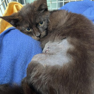 25.09.25 News Miracle