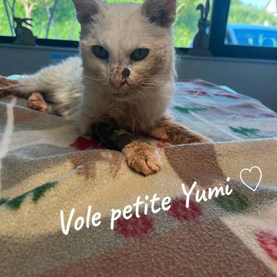 27.05.26 Décès Yumi