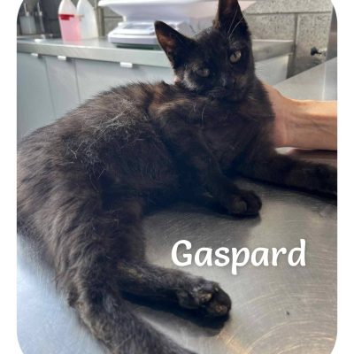 27.05.26 Gaspard
