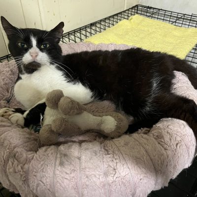 27.07.25 News Kookai