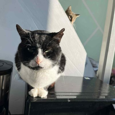 27.11.25 News Kookai