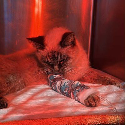 27.11.25 Prise en charge 1