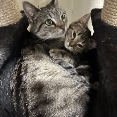 28.07.25 Anais et Emraude