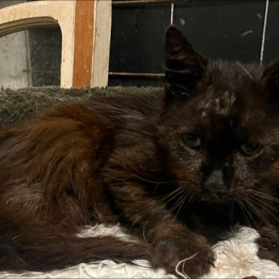 28.07.25 Décès Thibault