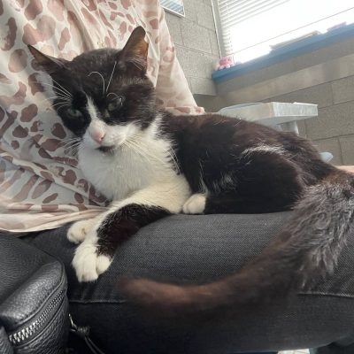 28.07.25 News Kookai