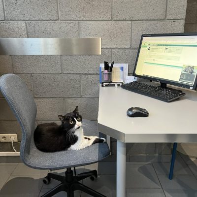 30.07.25 News Kookai