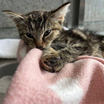 30.08.25 Arrivée Océane