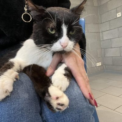 31.07.25 News Kookai