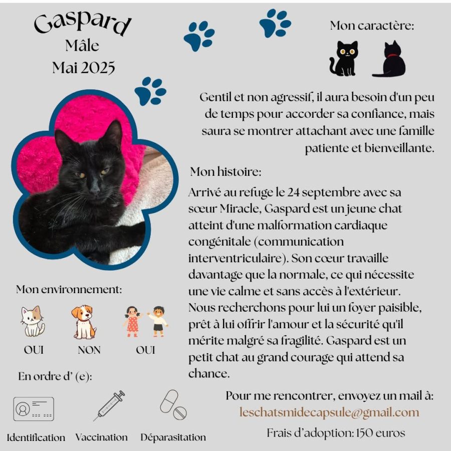 Gaspard