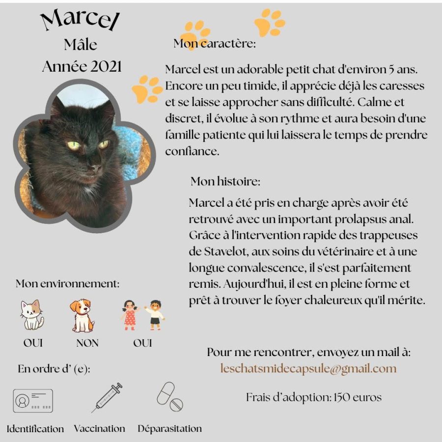 Marcel