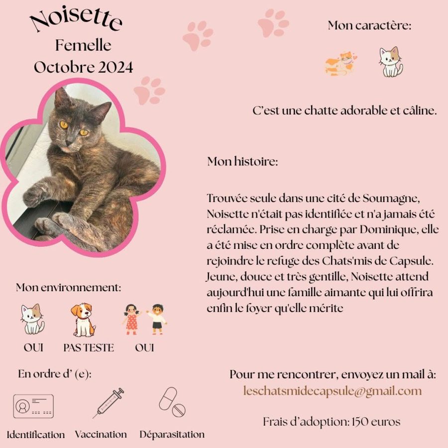 Noisette