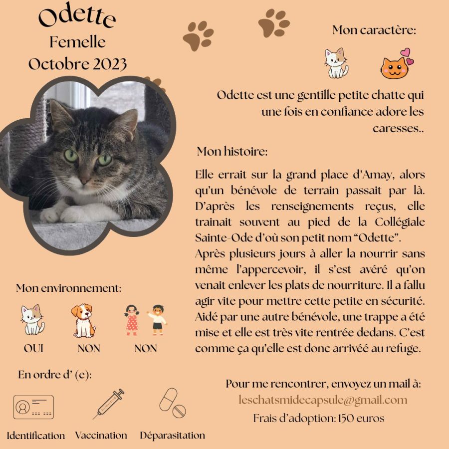 Odette