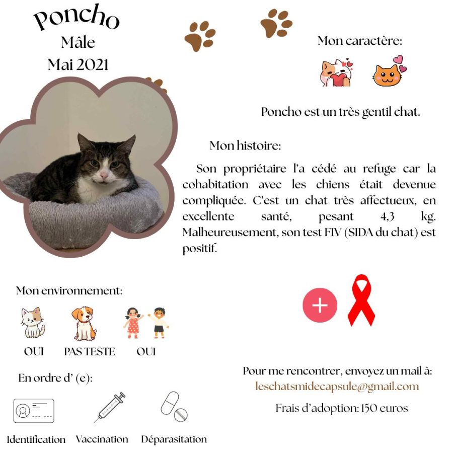 Poncho