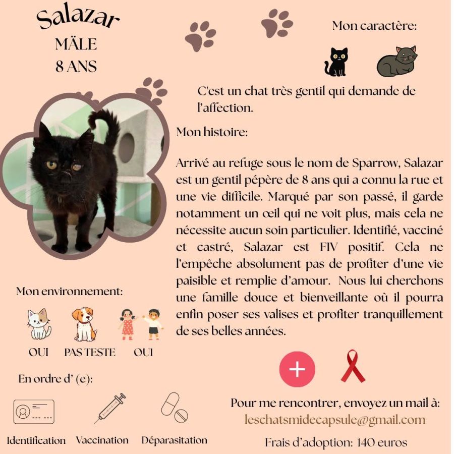 Salazar