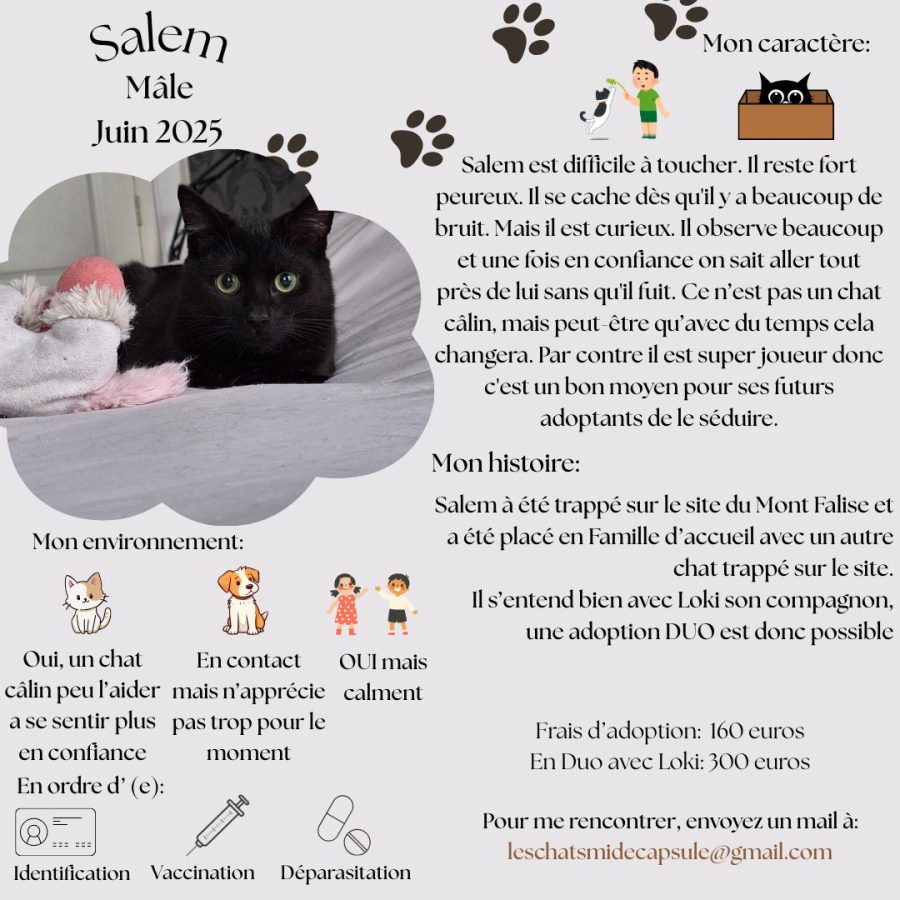 Salem