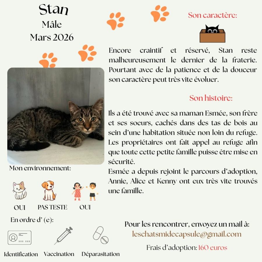 Stan
